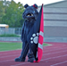 Bulldog mascot holding a school flag