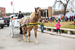 Horse pulling a carriage during Christmas on the Square