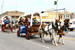 Horse drawn covered wagons with many people inside during a parade